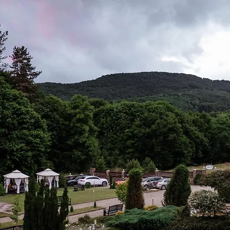 Kvitka Hotel Svalyava