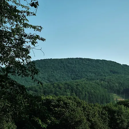 Hotel Kvitka Svalyava