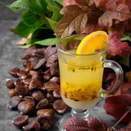 Hotel Kvitka Svalyava