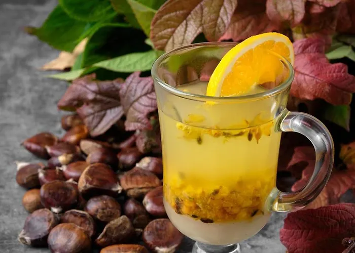 酒店 Kvitka 斯瓦拉瓦