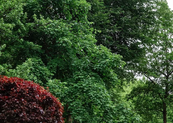 Kvitka Otel 4*